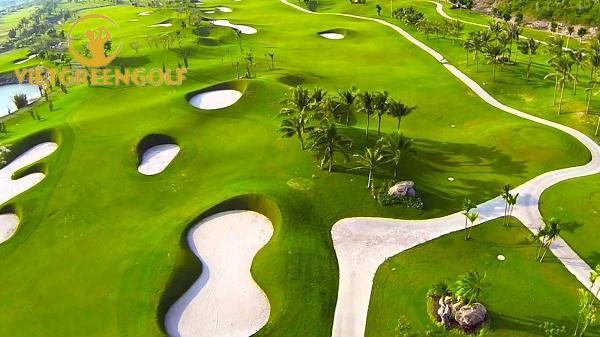 Những Điều Cần Biết Về Sân Golf Phú Mỹ
