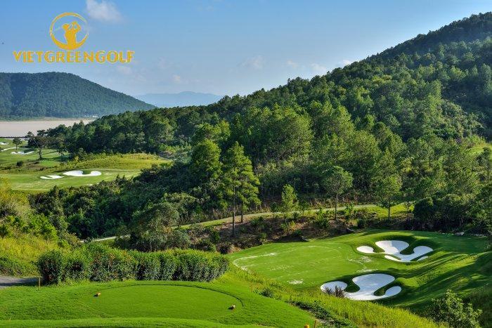 Sân Golf Đà Lạt 1200: Địa Điểm Chơi Golf Lý Tưởng Cho Các Golf Thủ