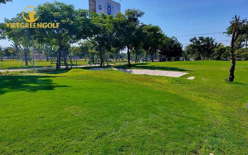 Sân Golf Xuân Thủy Đà Nẵng Và Những Gì Bạn Nên Biết