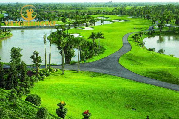 Sân Golf Thái Nguyên: Thông Tin Về Thiết Kế Và Dịch Vụ Tiện Ích
