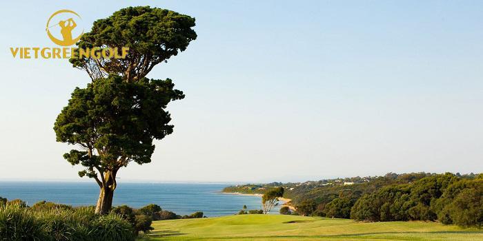 Mornington Golf Club - sân golf lâu đời nhất nước Úc