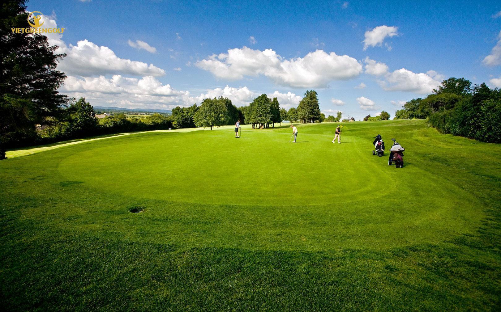 Sân golf Mallow Golf Club