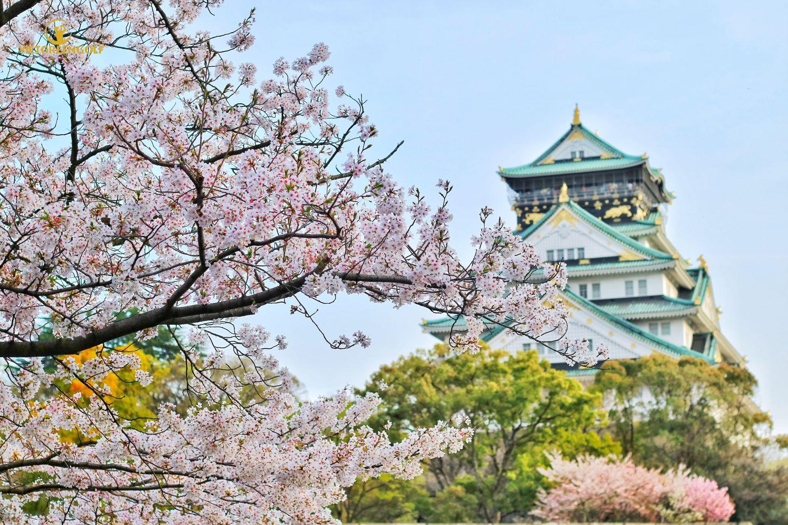 Tour golf Nhật Bản: Tokyo - Núi Phú Sĩ,Tour golf Nhật Bản 8 ngày,Tour golf Nhật Bản, Tour du lịch golf Nhật Bản, Tour du lịch Golf, Viet Green Golf, Du Lịch Golf