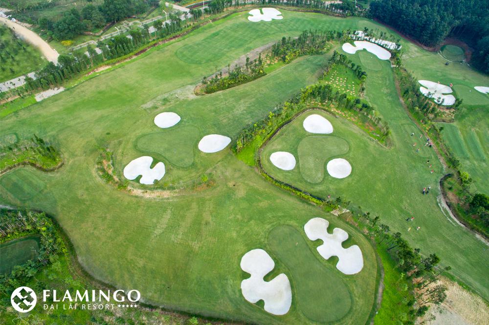Sân Golf Flamingo Đại Lải - thứ 3 đến thứ 6 cho khách lẻ 