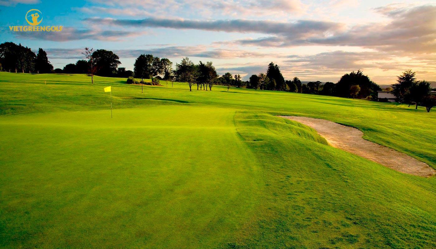 Sân golf Mallow Golf Club