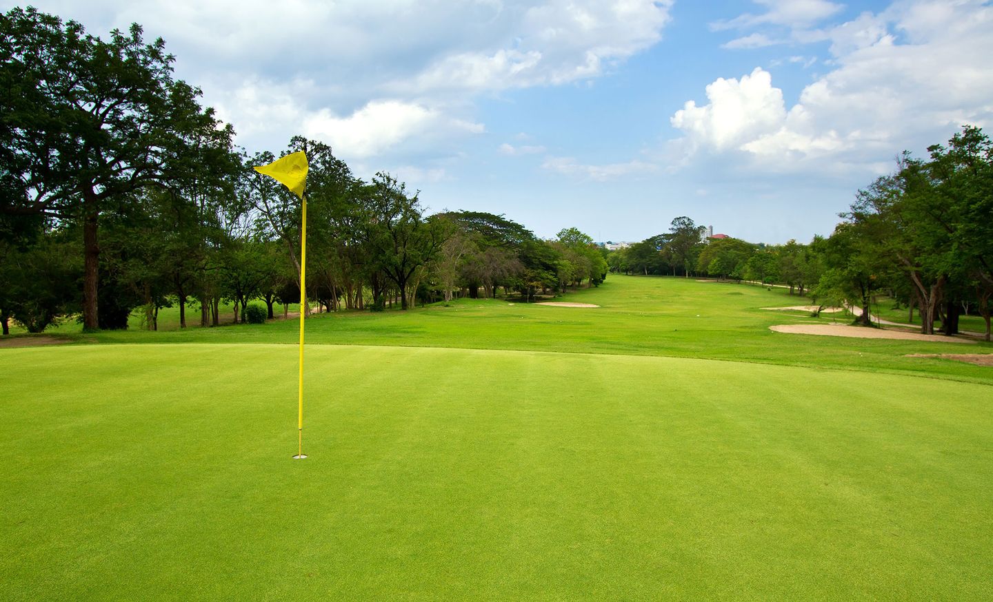 Viet Green Golf, sân golf Đồ Sơn Hải Phòng