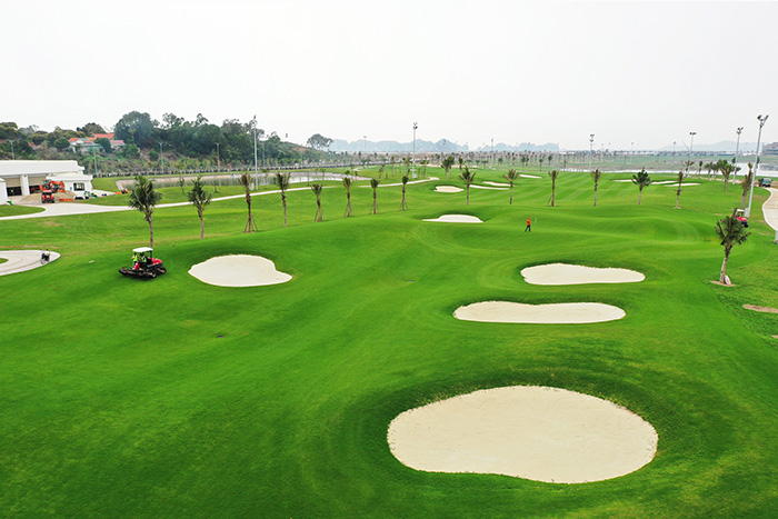 Viet Green Golf, top 3 sân golf Quảng Ninh