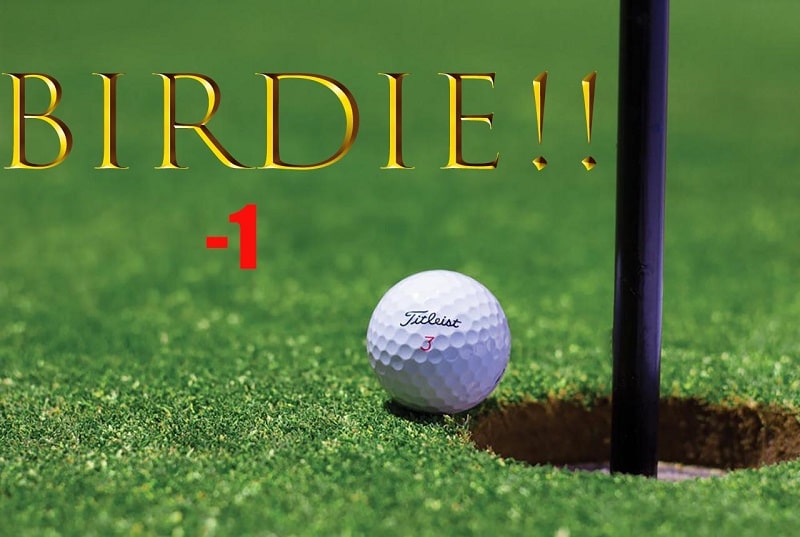 birdie golf Birdie golf, kỷ lục Birdie Golf, tính điểm Birdie